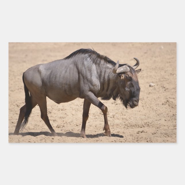 Blue wildebeest walking rectangular sticker (Front)