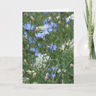 Blue Wildflowers Card