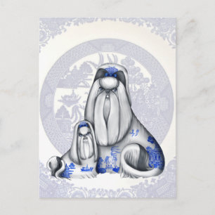 Blue Willow Shih Tzus Postcard