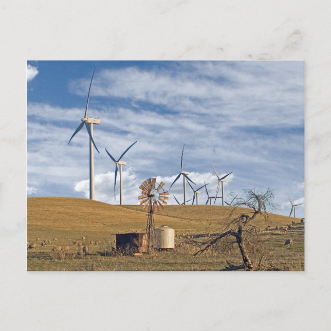 Blue Wind Postcard (Front)