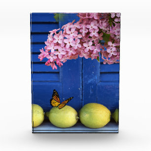 Blue Window Lemon Photo Block