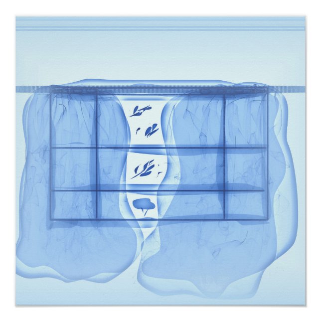 Blue window. poster (Front)