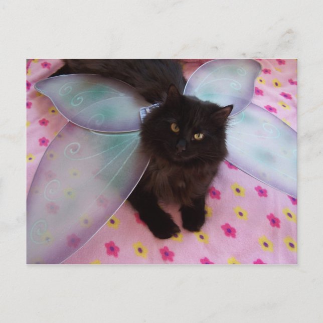 blue wing fairy postcard (Front)