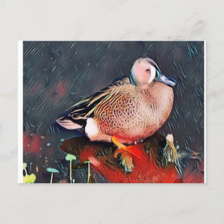 Blue Wing teal  Postcard