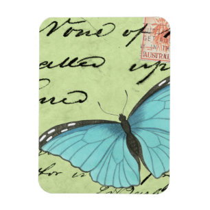 Blue-Winged Butterfly on Teal Postcard Magnet