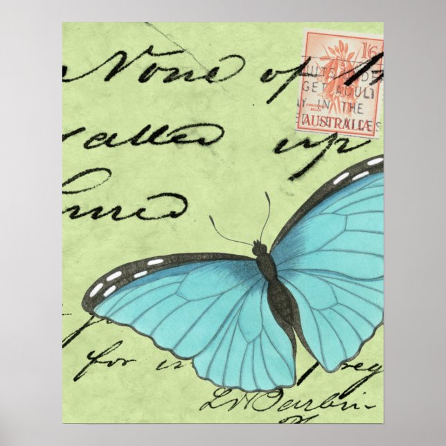 Blue-Winged Butterfly on Teal Postcard Poster (Front)