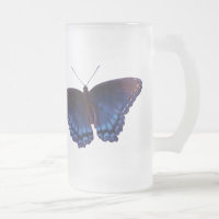 Blue winged Butterfly with wings open