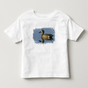 Blue-winged Teal, Anas discors,male, Port Toddler T-Shirt