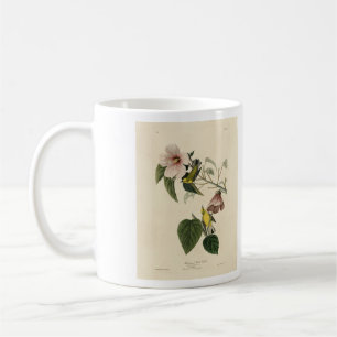 Blue-winged Yellow Warbler - Audubon Birds America Coffee Mug