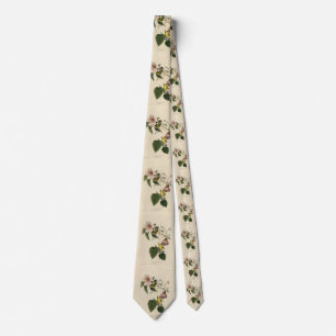 Blue-winged Yellow Warbler - Audubon Birds America Tie