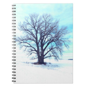 Blue Winter Notebook