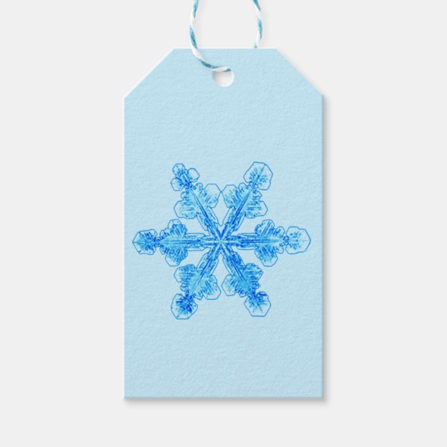 Blue Winter Snowflake Gift Tags (Front)