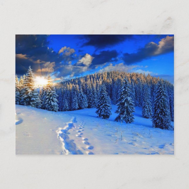 Blue Winter Sunrise Postcard (Front)