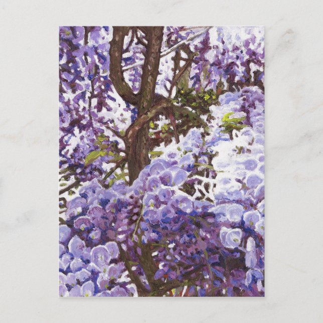 Blue wisteria 2011 postcard (Front)
