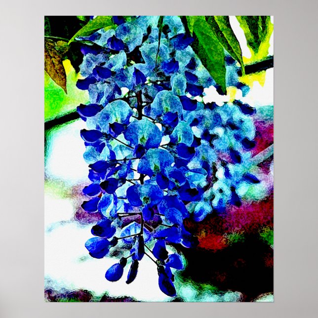 Blue Wisteria Poster (Front)