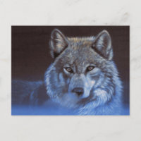 Blue Wolf
