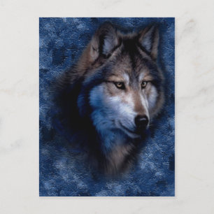 Blue Wolf Postcard