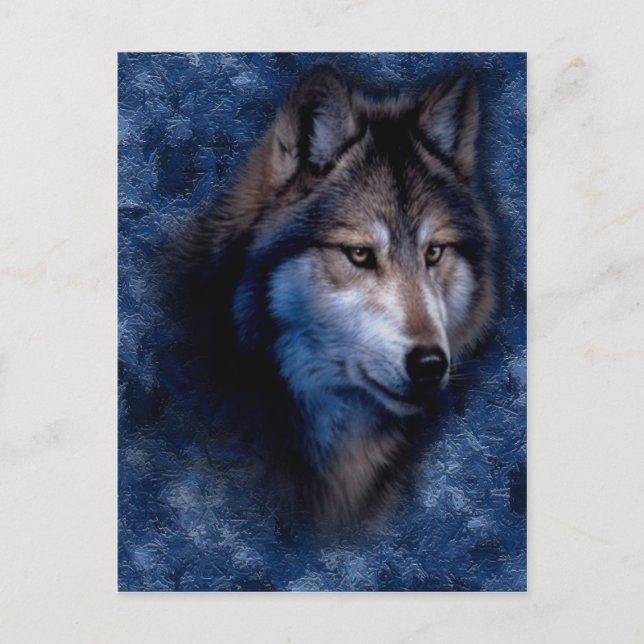Blue Wolf Postcard (Front)