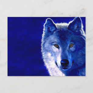 Blue Wolf Postcard