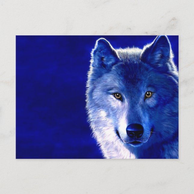 Blue Wolf Postcard (Front)