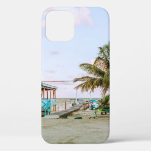 BLUE WOODEN HOUSE NEAR BODY OF WATER iPhone 12 CASE