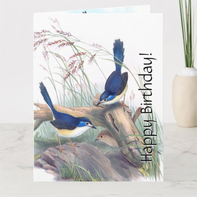 Blue Wren Birds Floral Wildlife Flowers Birthday Card (Front)