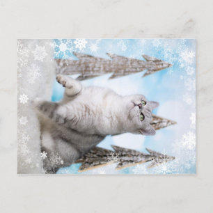 Blue XMAS 2018 Holiday Postcard