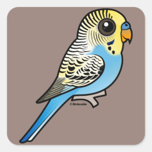 Blue & Yellow Budgie Square Sticker