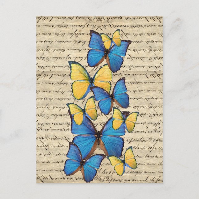 Blue & yellow butterrflies postcard (Front)