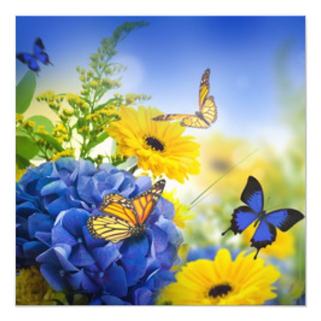 Blue Yellow Flowers With Butterflies Photo Print (Front)