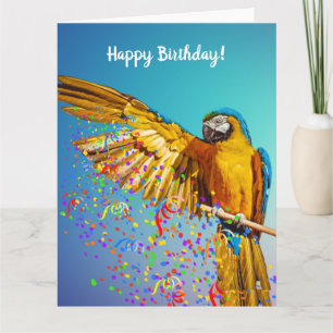Blue & Yellow Macaw Throws Confetti       Card