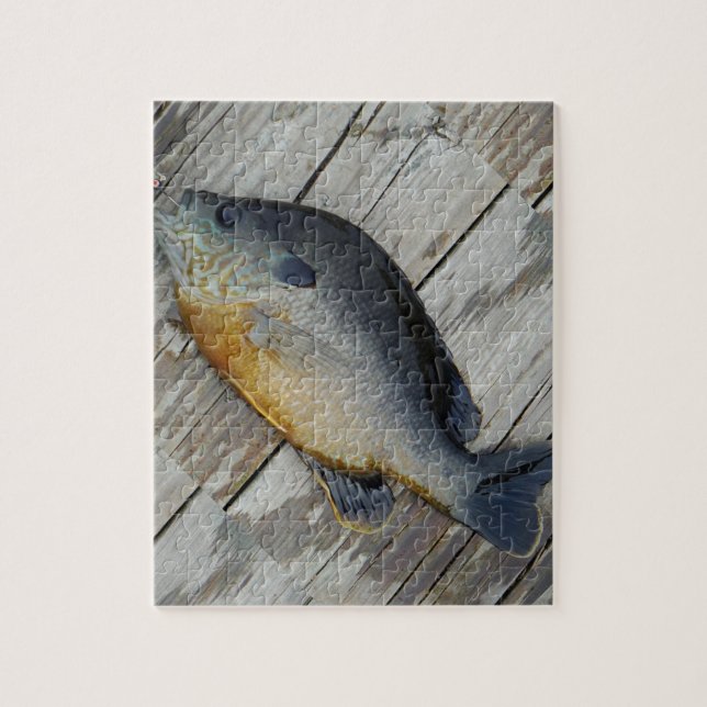 blue yellow purple teal, Bluegill fish on dock Jigsaw Puzzle (Vertical)