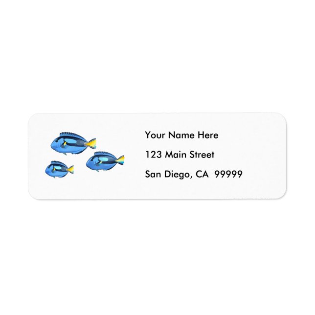 Blue & Yellow Tropical Fish (Front)