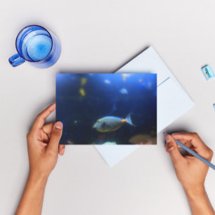 Blue -yellow tropical fish postcard