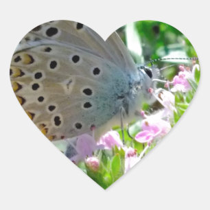 Blue Yellow With Black Spots Butterfly on Flowers Heart Sticker