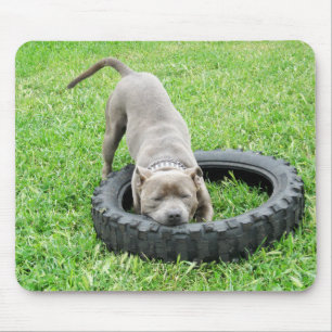 Blue Young Staffordshire Bull Terrier, Mouse Mat