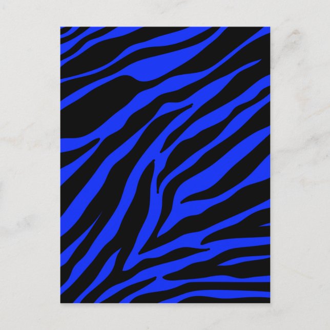 blue zebra postcard (Front)