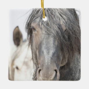 Blue Zeus and Iris Wild Hoofbeats Ornament
