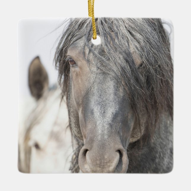 Blue Zeus and Iris Wild Hoofbeats Ornament (Front)
