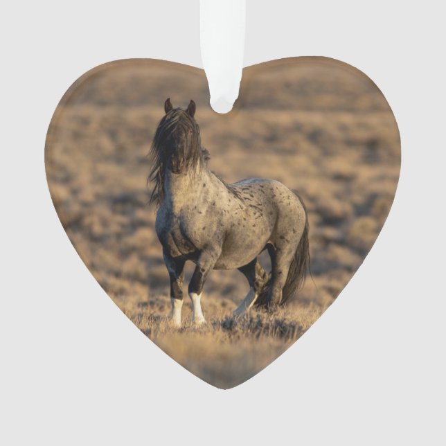 Blue Zeus at Dawn Wild Hoofbeats Ornament (Front)