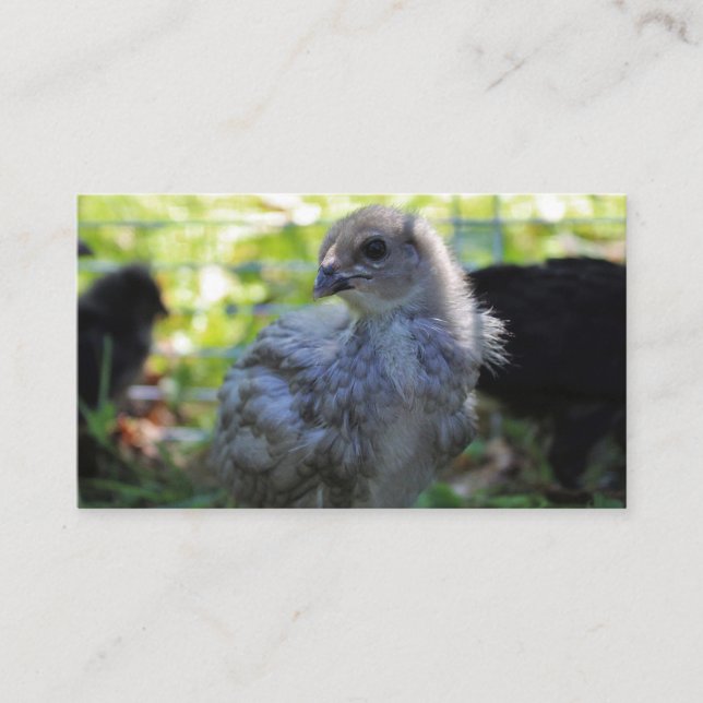 Bluebell Business Card (Front)