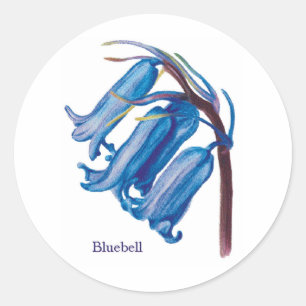Bluebell Classic Round Sticker