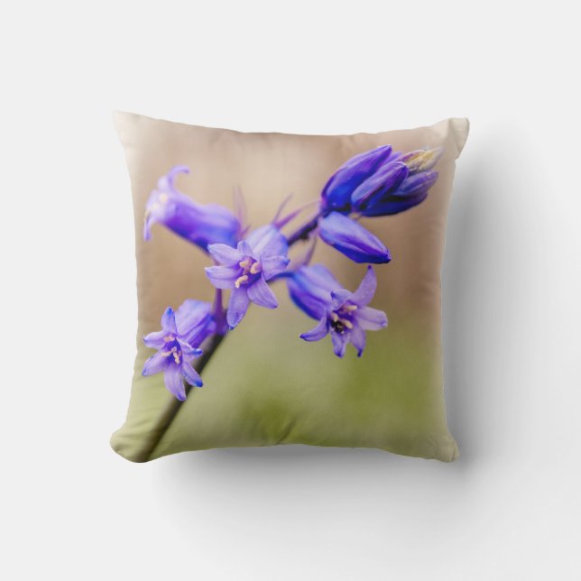 Bluebell cushion (Front)