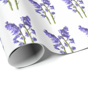 Bluebell Fabric Pattern. Wrapping Paper