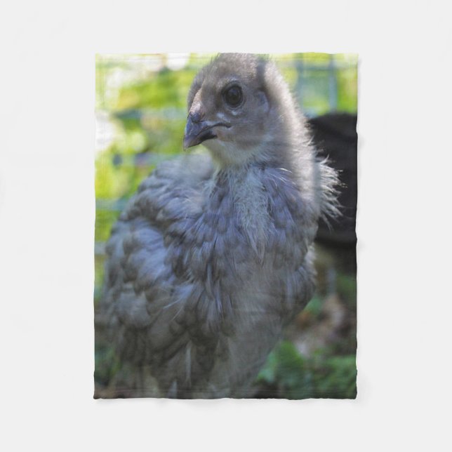 Bluebell Fleece Blanket (Front)