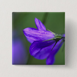 Bluebell flower in Independence Pass in 15 Cm Square Badge