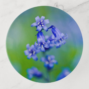 Bluebell flower Trinket tray