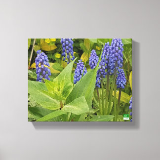 Bluebell Flowers Art Photo Print On Canvas