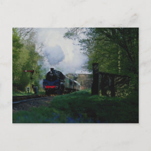 Bluebell Railway, West Sussex, U.K. Postcard