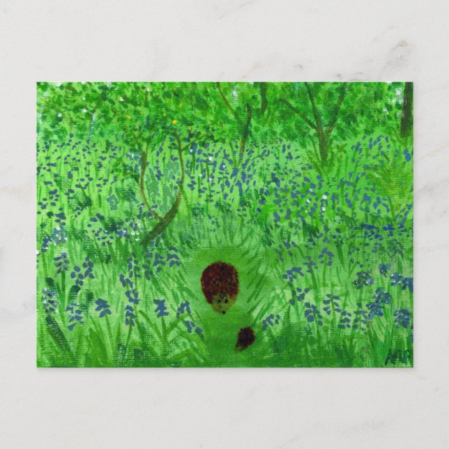 Bluebell Wood Hedgehogs Postcard (Front)